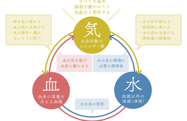 その浮腫みの原因は水滞蚊かも